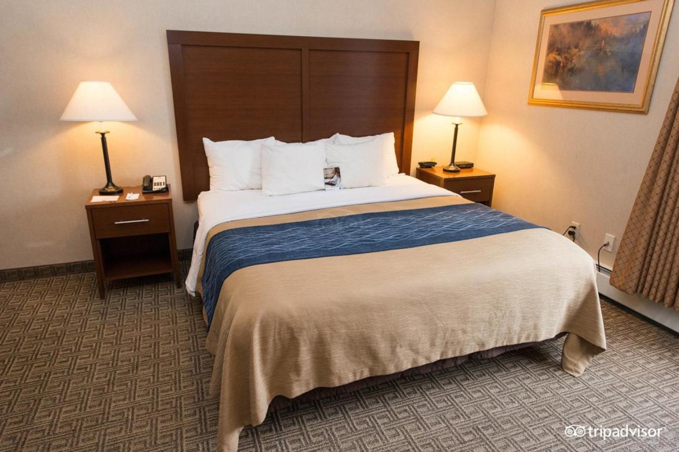 Wingate By Wyndham Downtown - Ship Creek Hotel